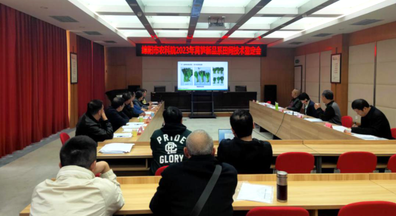 图片5.png 图片5.png