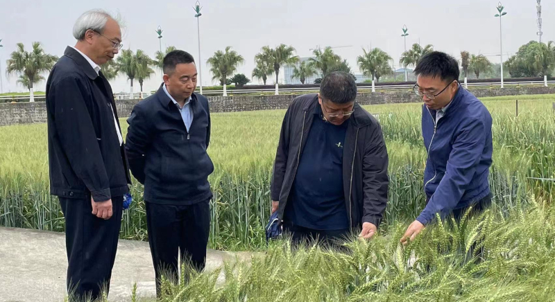 微信图片_20230414153006.jpg 微信图片_20230414153006.jpg