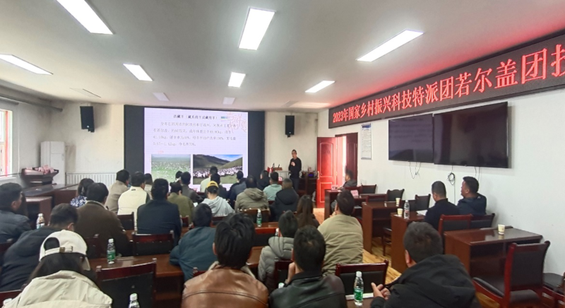 图片13.png 图片13.png