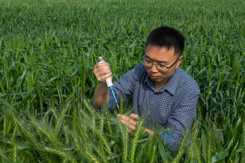 任勇.jpg_.jpg 任勇.jpg_.jpg