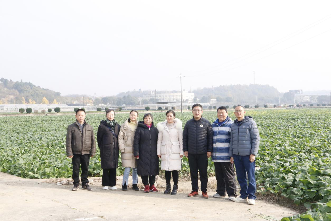 国家油菜产业技术体系绵阳综合试验站