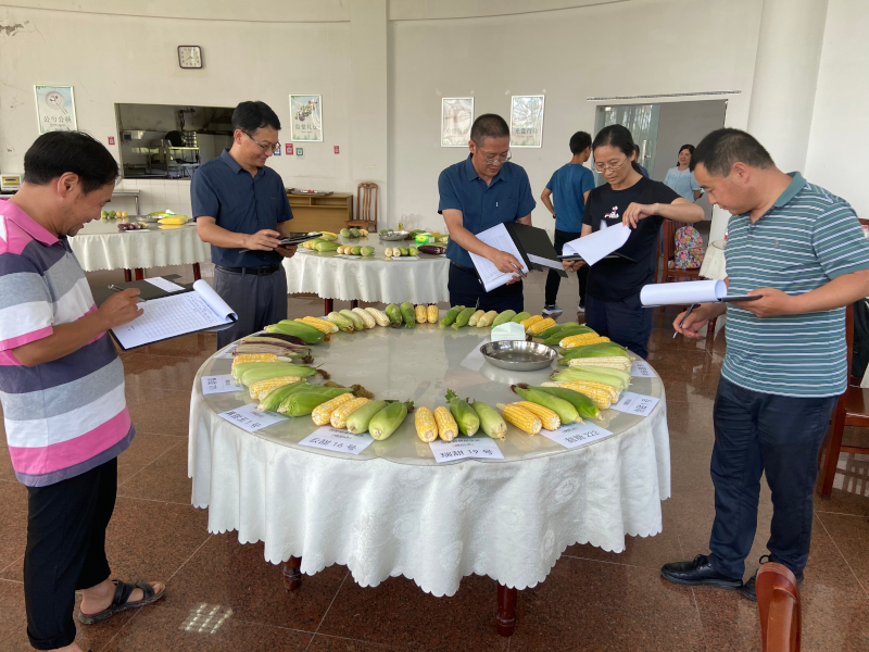 IMG_7533.JPG IMG_7533.JPG