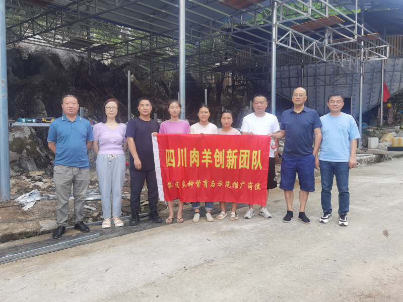 图片4.png 图片4.png