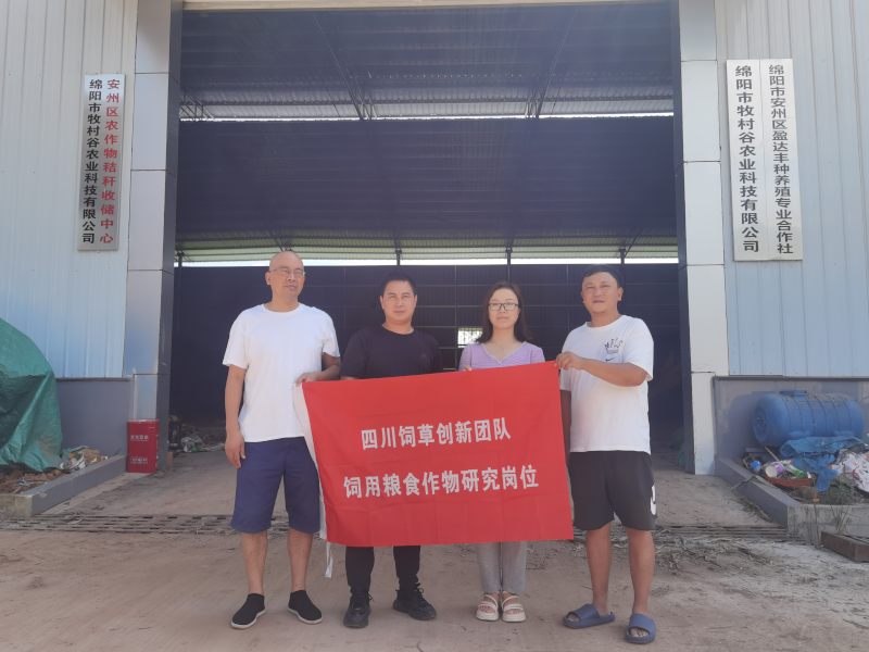 图片5.png 图片5.png