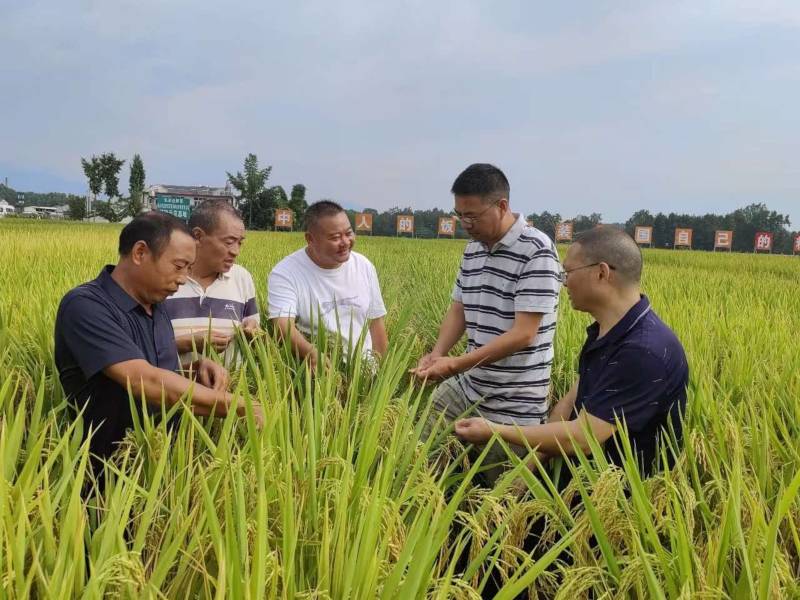 58d338e0a8dbcafd724d39102cd6abd1.jpg 58d338e0a8dbcafd724d39102cd6abd1.jpg