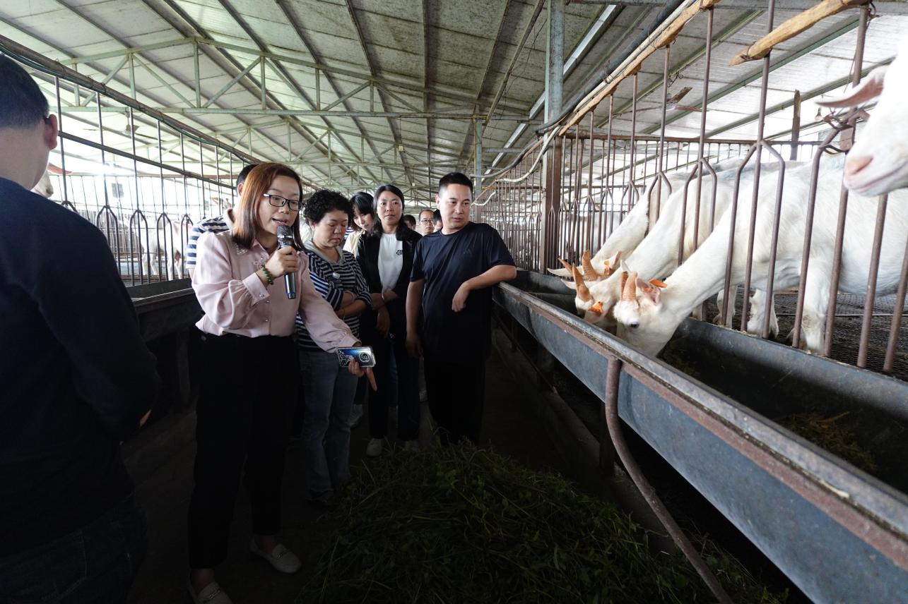 图片4.png 图片4.png