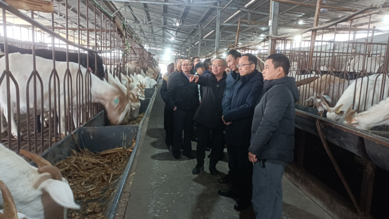 图片9.png 图片9.png