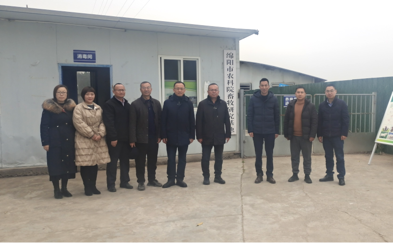 图片11.png 图片11.png