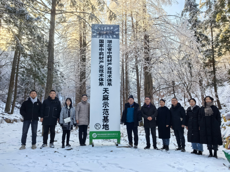 0124中药材所、食用菌所组团赴湖北省随州市考察天麻新技术.jpg 0124中药材所、食用菌所组团赴湖北省随州市考察天麻新技术.jpg
