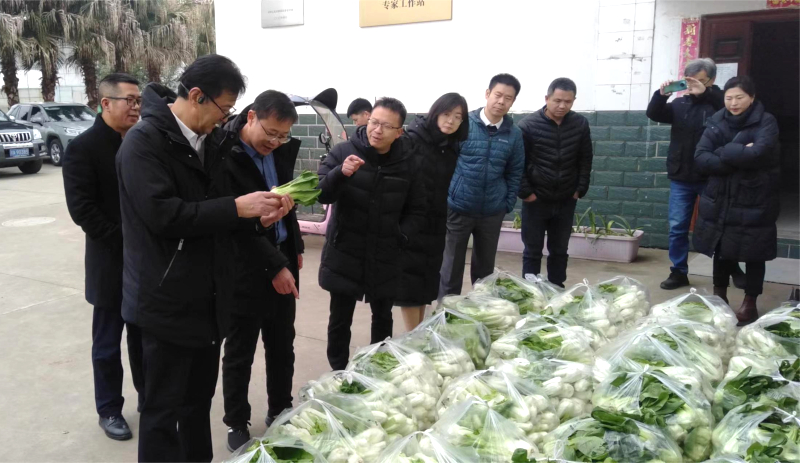 微信图片_20240131164741.jpg 微信图片_20240131164741.jpg