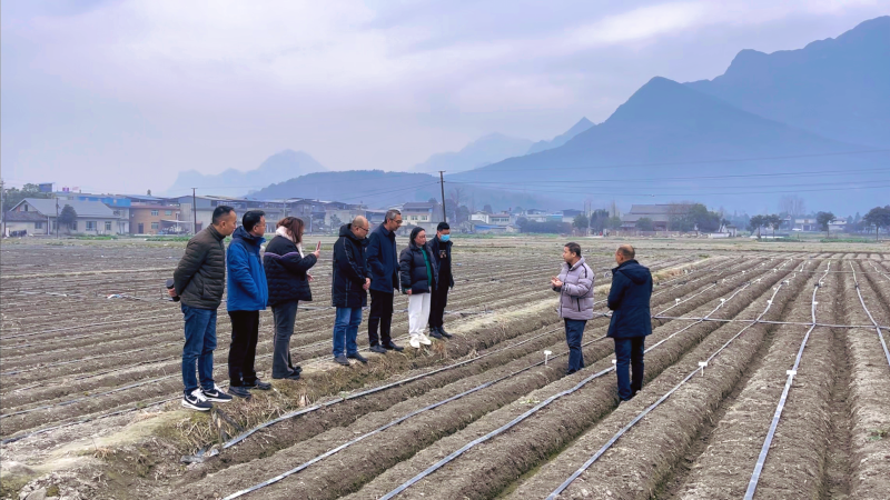 微信图片_20240201141858.png 微信图片_20240201141858.png