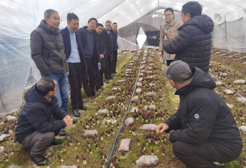 IMG_20240228_101800.jpg IMG_20240228_101800.jpg