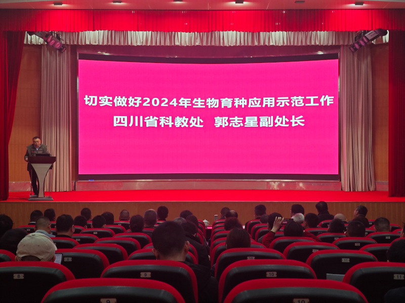 82c2cf0bff9a9ce4dedbcad33e3ac8e3.jpg 82c2cf0bff9a9ce4dedbcad33e3ac8e3.jpg