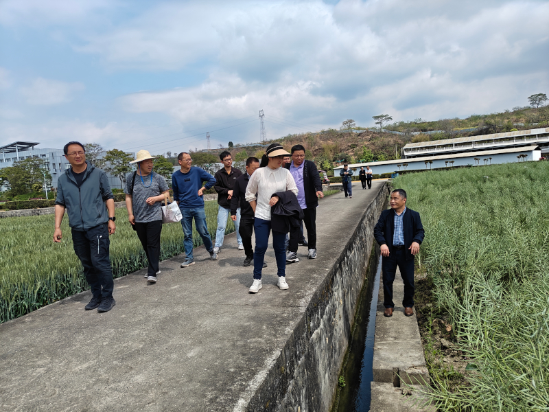 c12162768f3abb2d528187d76f50f27a.jpg c12162768f3abb2d528187d76f50f27a.jpg