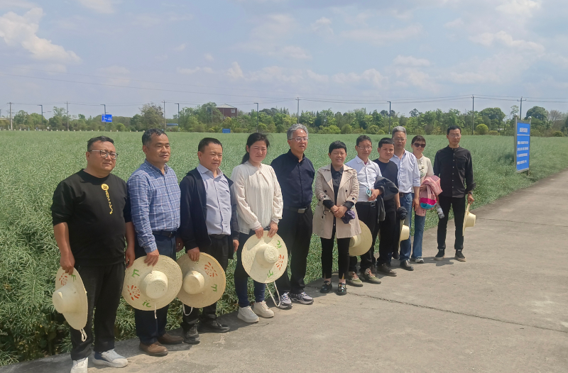 508e2b12ff7d42da73a96b8386b8d16d.jpg 508e2b12ff7d42da73a96b8386b8d16d.jpg