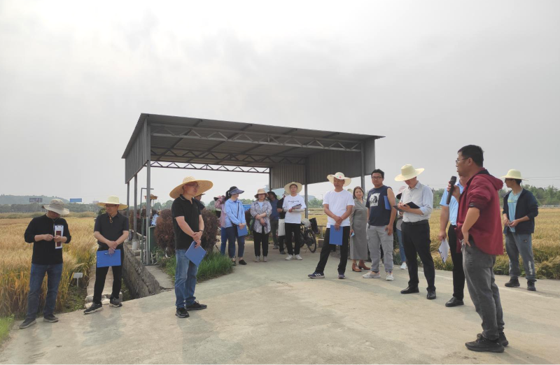 图片7.png 图片7.png