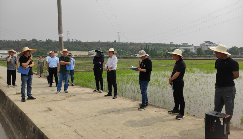 图片8.png 图片8.png