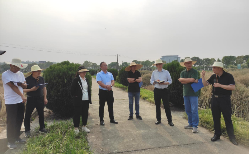 图片9.png 图片9.png