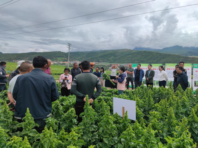 图片1.png 图片1.png