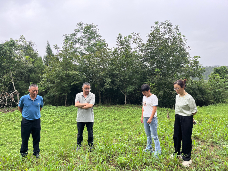 2024.8.9盐亭农户调研3(2).jpg 2024.8.9盐亭农户调研3(2).jpg