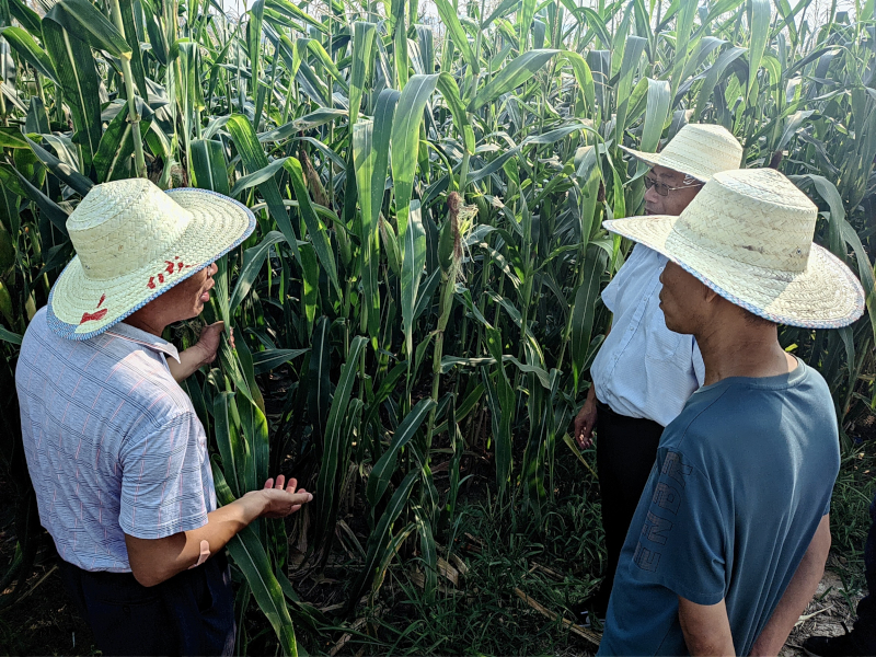 CRnall_20240822_090618899(1).jpg CRnall_20240822_090618899(1).jpg