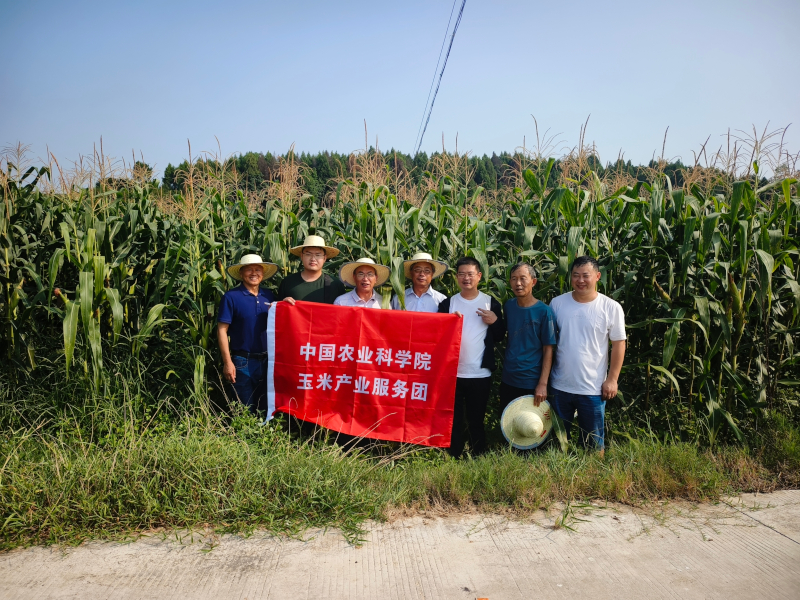 mmexport1724399630869(1).jpg mmexport1724399630869(1).jpg