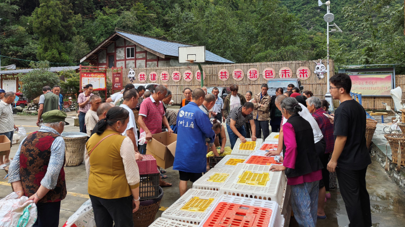 图片3.png 图片3.png