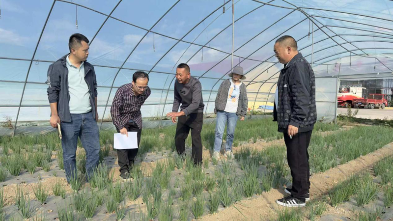 图片5.png 图片5.png