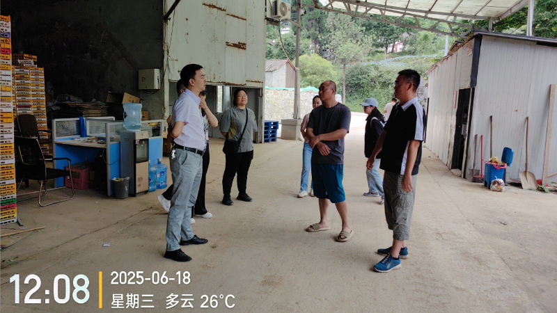 微信图片_20250619113427.jpg 微信图片_20250619113427.jpg