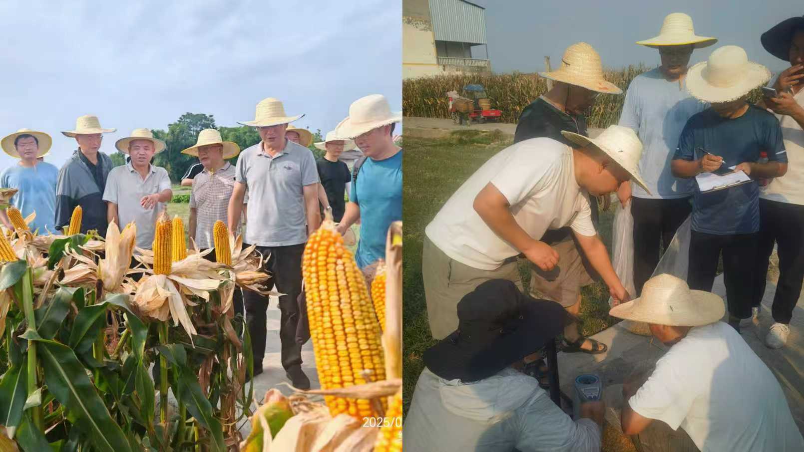 5da3771bf9fdc7fcf1bad363b1c90ce1.jpg 5da3771bf9fdc7fcf1bad363b1c90ce1.jpg