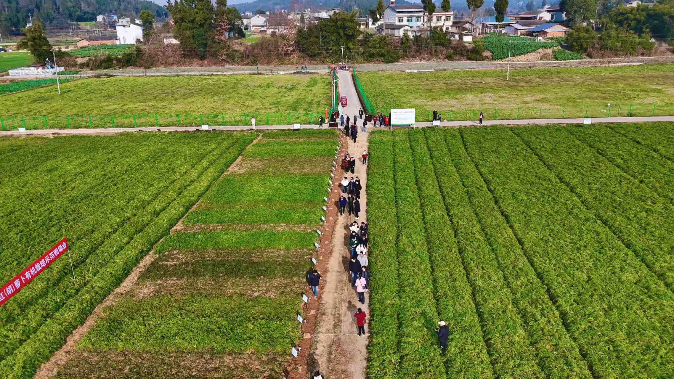 微信图片_20260116114007_8_437.jpg 微信图片_20260116114007_8_437.jpg